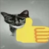 :thumbsupcat: