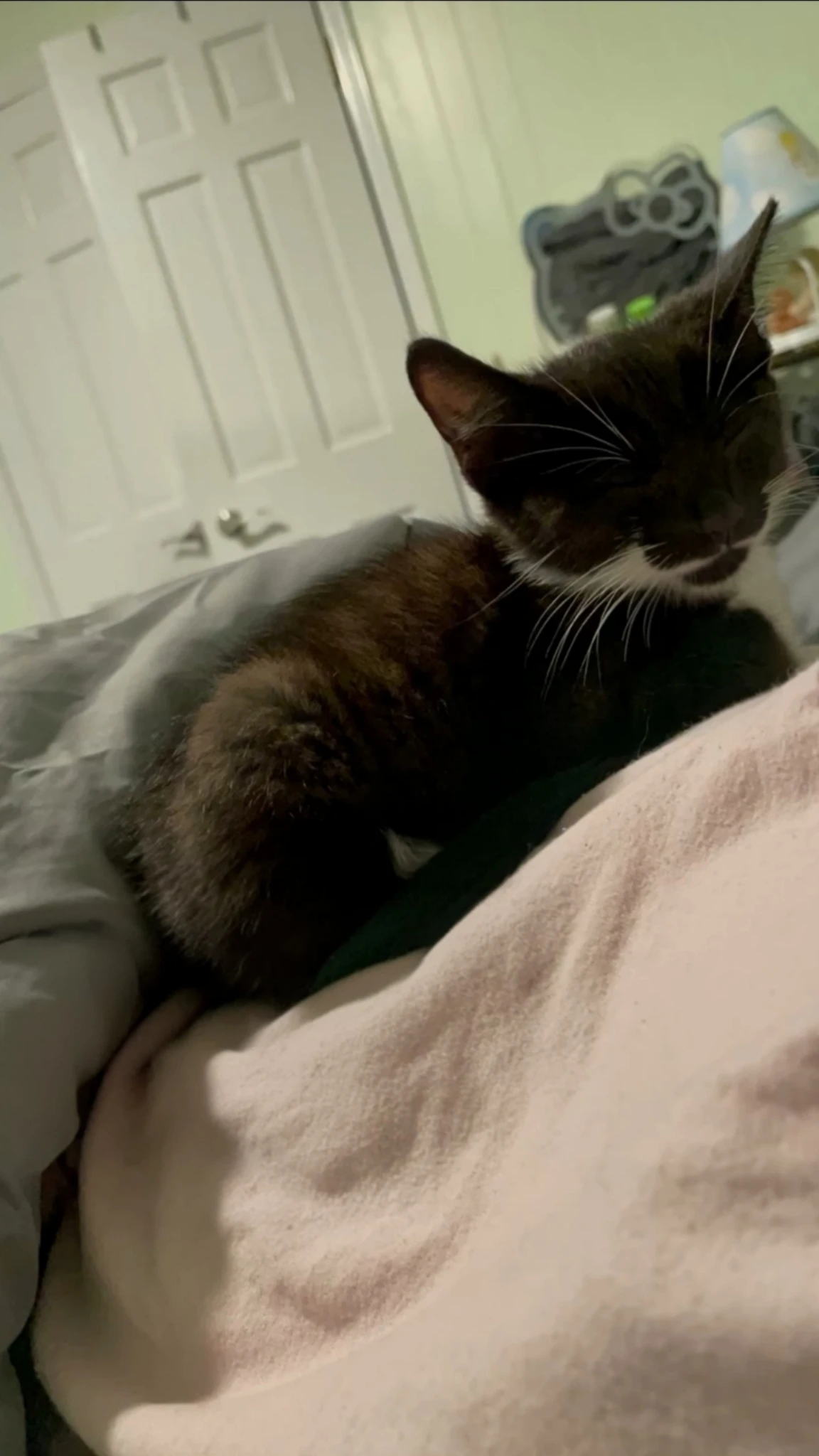 A low-light photo of a black and white kitten curled up on a bed. The cat's eyes are closed and is trying to sleep.