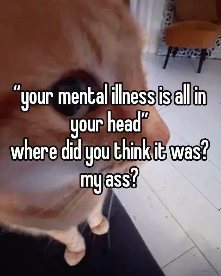 a cat from an odd angle captioned `"your mental illness is all in your head" where did you think it was? my ass?`